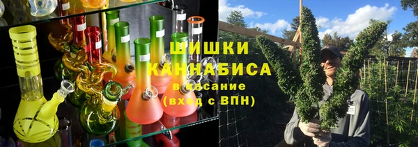 дмт Новокубанск