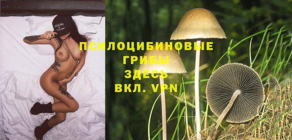 дмт Новокубанск